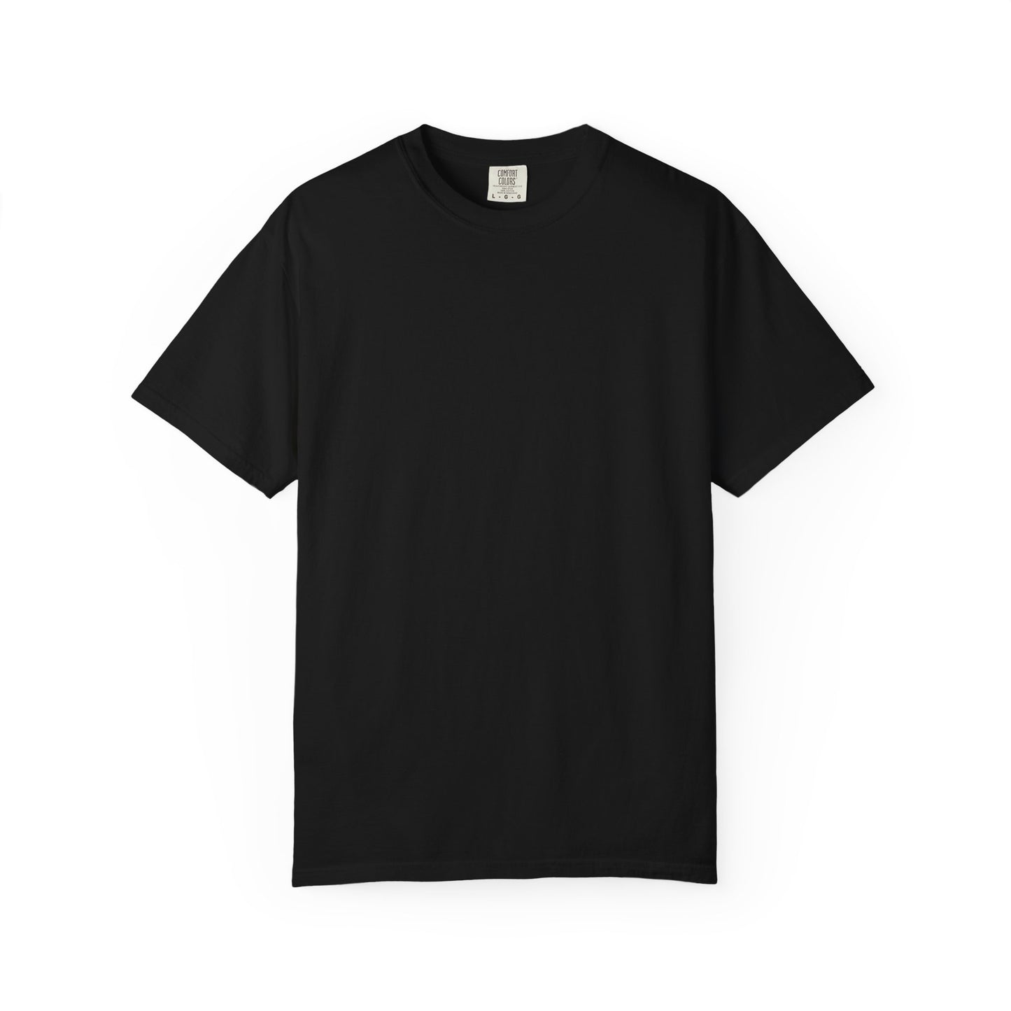 The System Has Failed Graphic T-Shirt — Protest Punk Vintage Distressed Tee