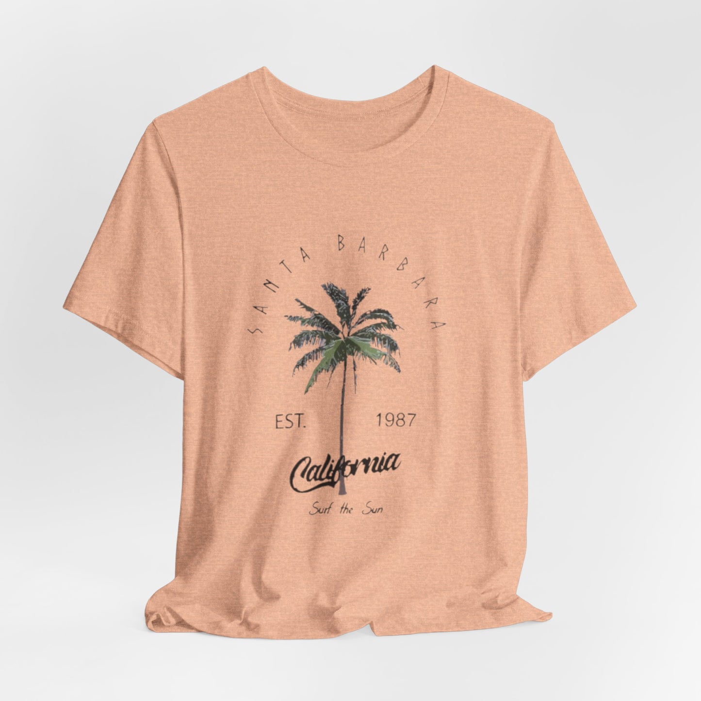 California Palm Tee — Santa Barbara Vintage Palm Tree T-Shirt