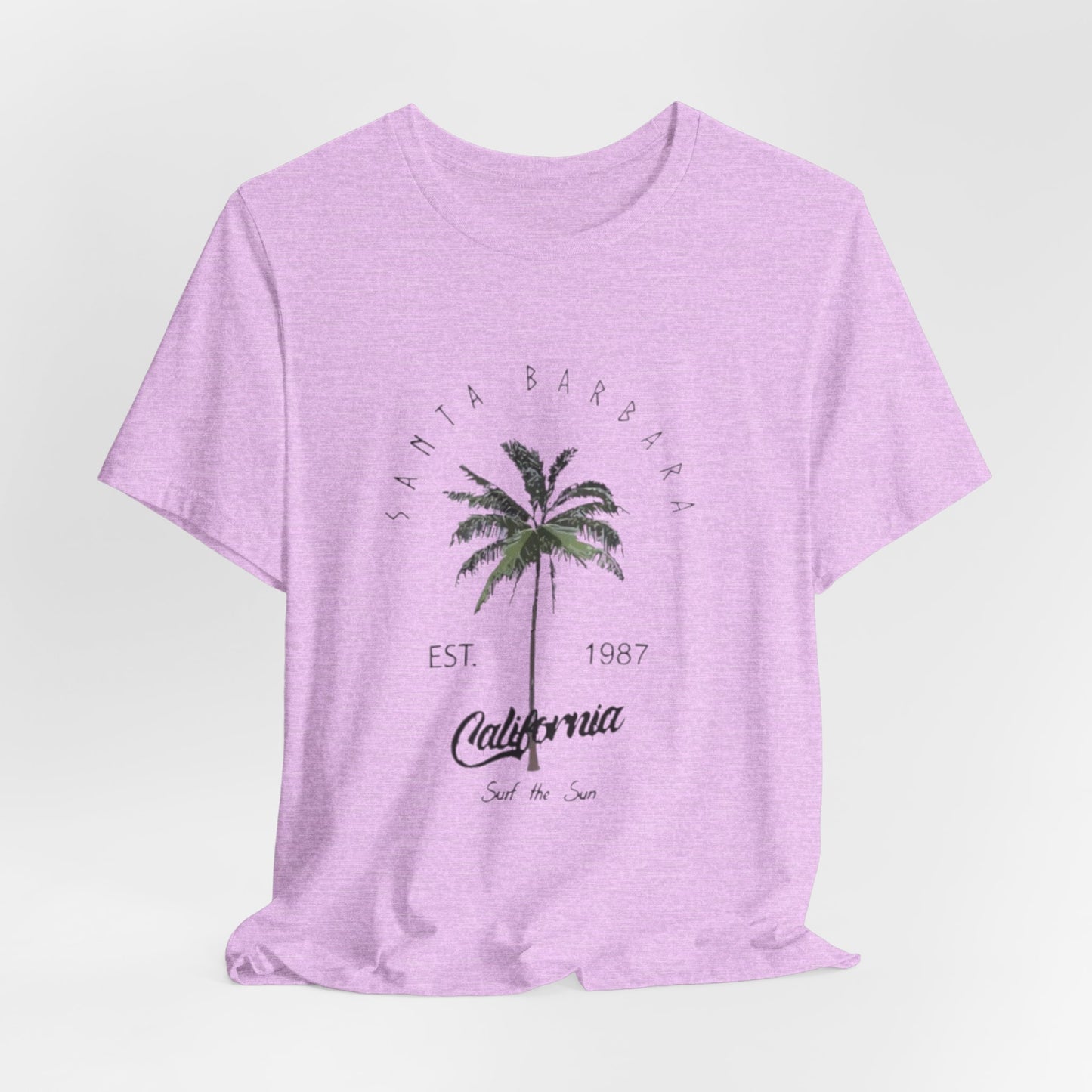 California Palm Tee — Santa Barbara Vintage Palm Tree T-Shirt