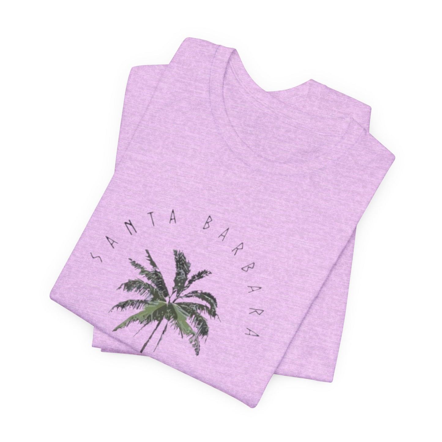 California Palm Tee — Santa Barbara Vintage Palm Tree T-Shirt